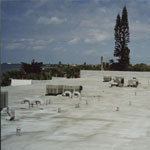 Juno spray foam roof